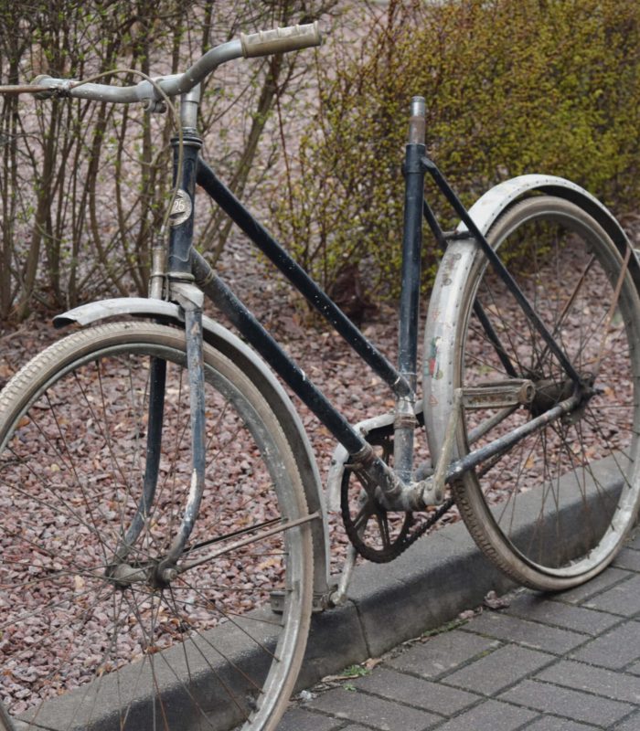 Stary rower przed renowacją